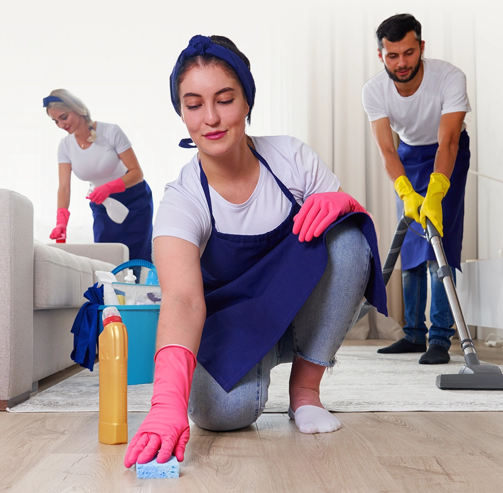 Domestic House Cleaning Service